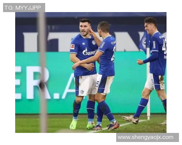 沙尔克04客场逼平勒沃库森,力克对手保持不败状态